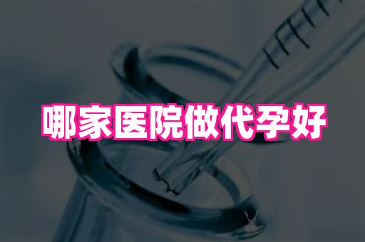 泉州助孕网 4